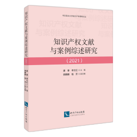 知识产权文献与案例综述研究（2021）