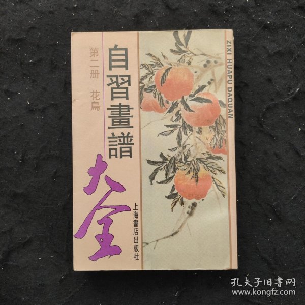 自习画谱大全
