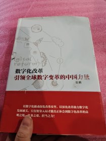 数字化改革 引领全球数字变革的中国力量