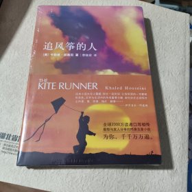 追风筝的人