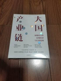 大国产业链 中金公司新作，聚焦大国产业链，探讨新格局下宏观经济与行业趋势 中信出版 全新未拆封