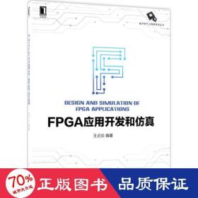 FPGA应用开发和仿真