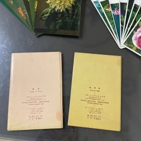 1964年明信片（菊花存9张差一张（牡丹花8张全）品自定-按图片发货