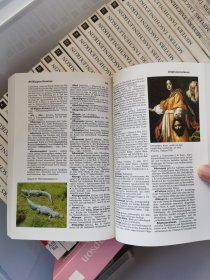 Meyers groBes Taschenlexikon:in 24 Banden24册袖珍百科全书德语