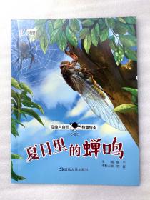 《夏日里的蝉鸣》