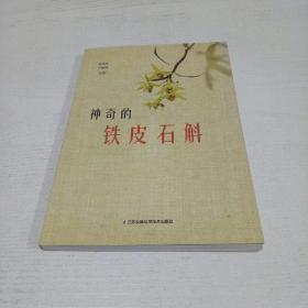 神奇的铁皮石斛