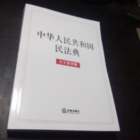 中华人民共和国民法典（大字条旨版）2020年6月