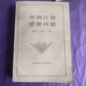 中国计划管理问题
