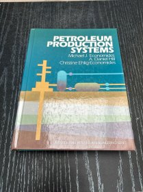 PETROLEUM PRODUCTION SYSTEMS