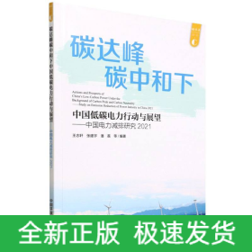中國(guó)電力減排研究2021:碳達(dá)峰碳中和下中國(guó)低碳電力行動(dòng)與展望