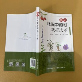 北方林间材栽培技术