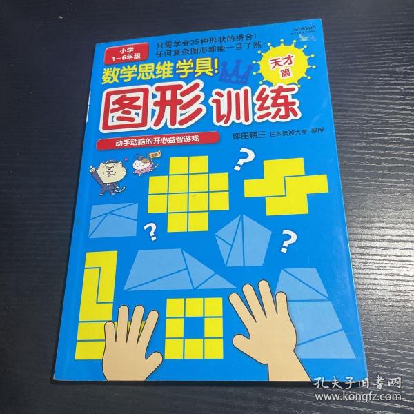 数学思维学具·图形训练：天才篇（小学1～6年级）