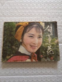 连环画，白莲花