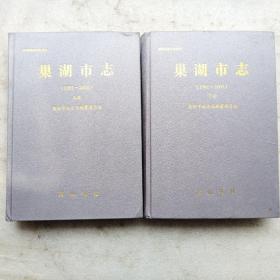 巢湖市志（1991~2005）上下 册