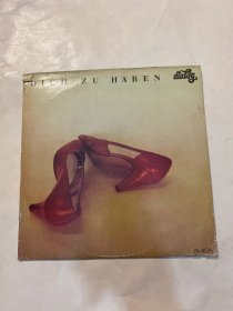 DICH ZU HABEN（黑胶唱片）碟片品好