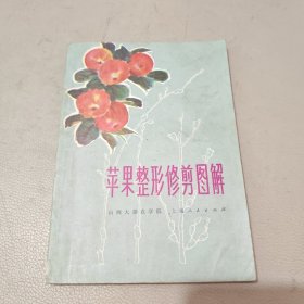 苹果整形修剪图解