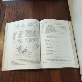 周围经卡压综合征 (精装本)