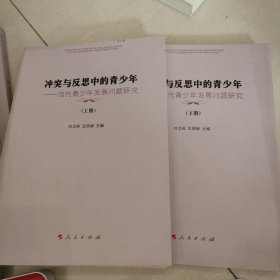 冲突与反思中的青少年:当代青少年发展问题研究