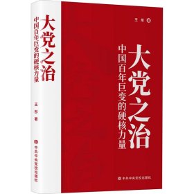 【正版书籍】大党之治：中国百年巨变的硬核力量