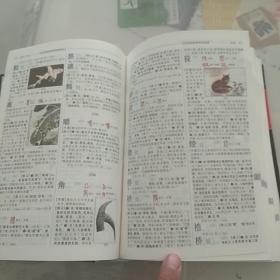 古代汉语字典