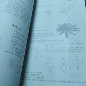 学做丝网花（如多单只收一单运费，拍完改价后再付款）