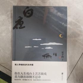 白夜：耐人寻味的当代市井图，带有魔幻色彩的现实主义力作