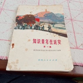 《知识青年在延安》（第一集）