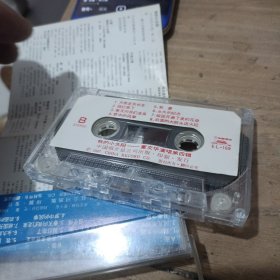 董文华演唱（第四辑）