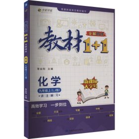 教材1+1全解精练化学9年级上（LJ版）