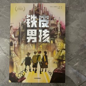 铁皮男孩（我爱读·大奖小说）