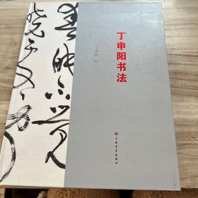 丁申阳书法