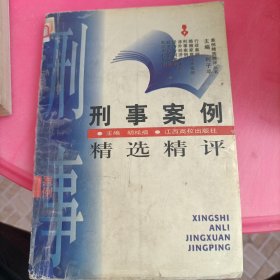 刑事案例精选精评——案例精选精评丛书