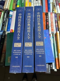 中国民法典适用大全 （知识产权与竞争卷 一二三）全3册