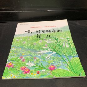 蒲公英科学绘本系列5:哇，好多好多的花儿