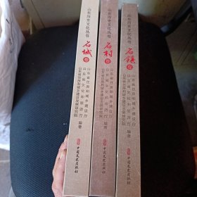 山东历史文化丛书：名城卷 名镇卷 名村卷（全三册）