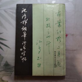 沈鸿根钢笔行书字帖