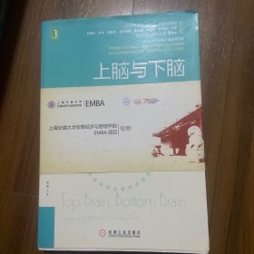 上脑与下脑：找到你的认知模式：世界顶级认知心理学家、哈佛大学教授基于全新的脑科学研究成果，帮助你找到自己的认知模式