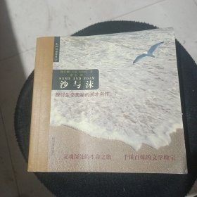 沙与沫