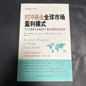 对冲基金全球市场盈利模式：当下全球资本市场条件下独具慧眼的投资策略