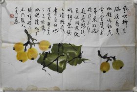 浙江画家 吴蓬 枇杷#2062