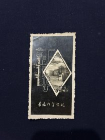 62年 长春化学学院 新年好照片贺卡