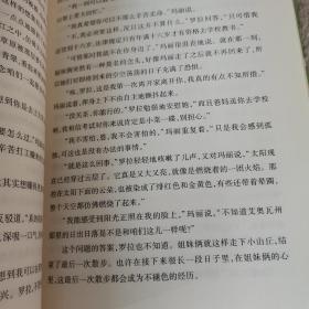 小木屋的故事系列7：草原小镇