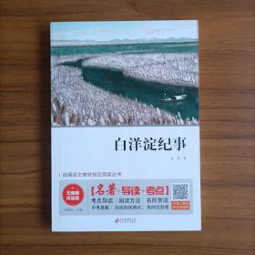 白洋淀纪事 七年级 无障碍阅读+中考考点 统编语文教材指定阅读丛书