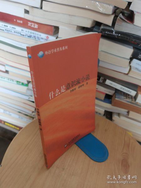 外语学术普及系列：什么是意识流小说