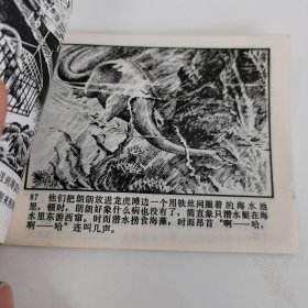 精品连环画:《高峰奇迹》