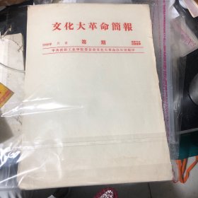 老信纸：空白简报纸16张合售