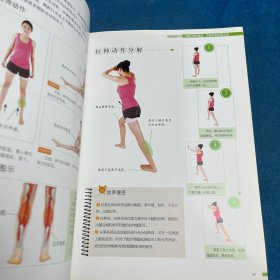 健康拉伸速查轻图典