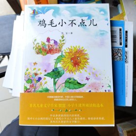 鸡毛小不点儿