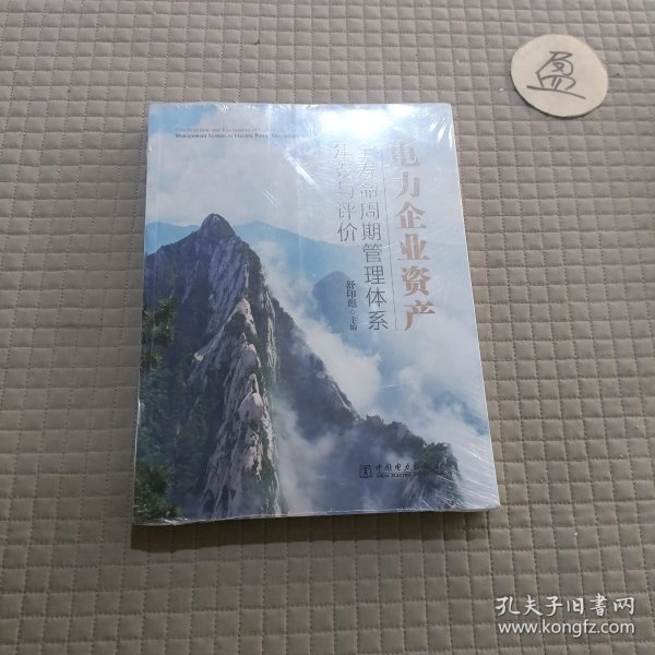 电力企业资产全寿命周期管理体系建设与评价