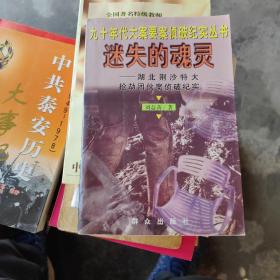 迷失的魂灵--湖北荆沙特大抢劫团伙案侦破纪实